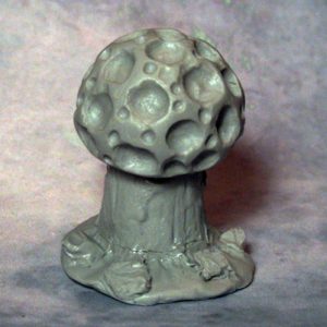 Brain Cap Mushroom