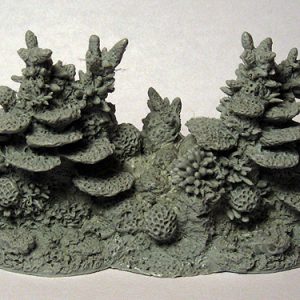 Coral Reef Section