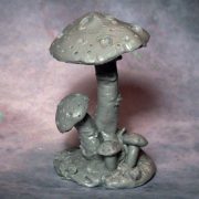 Thin Stalk Mushroom
